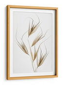 Susurros de hierba seca - Thierry Lagandre (Transgressed | Cuadro decorativo de Canvas Lab