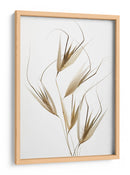Susurros de hierba seca - Thierry Lagandre (Transgressed | Cuadro decorativo de Canvas Lab