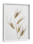 Susurros de hierba seca - Thierry Lagandre (Transgressed | Cuadro decorativo de Canvas Lab