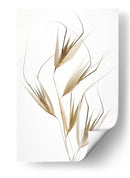 Susurros de hierba seca - Thierry Lagandre (Transgressed | Cuadro decorativo de Canvas Lab
