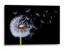 Semillas de diente de león volando - Bess Hamiti | Cuadro decorativo de Canvas Lab