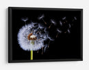 Semillas de diente de león volando - Bess Hamiti | Cuadro decorativo de Canvas Lab