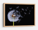 Semillas de diente de león volando - Bess Hamiti | Cuadro decorativo de Canvas Lab