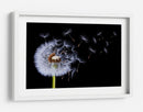 Semillas de diente de león volando - Bess Hamiti | Cuadro decorativo de Canvas Lab