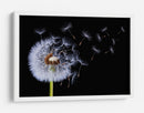 Semillas de diente de león volando - Bess Hamiti | Cuadro decorativo de Canvas Lab