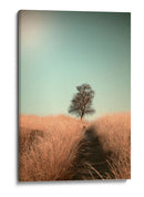 Sendero del campo de los árboles deshojados - Jaap van den | Cuadro decorativo de Canvas Lab