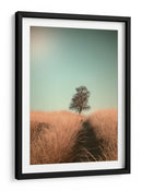 Sendero del campo de los árboles deshojados - Jaap van den | Cuadro decorativo de Canvas Lab