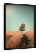 Sendero del campo de los árboles deshojados - Jaap van den | Cuadro decorativo de Canvas Lab