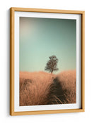 Sendero del campo de los árboles deshojados - Jaap van den | Cuadro decorativo de Canvas Lab