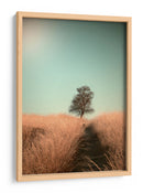 Sendero del campo de los árboles deshojados - Jaap van den | Cuadro decorativo de Canvas Lab