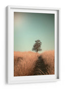 Sendero del campo de los árboles deshojados - Jaap van den | Cuadro decorativo de Canvas Lab