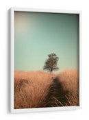 Sendero del campo de los árboles deshojados - Jaap van den | Cuadro decorativo de Canvas Lab