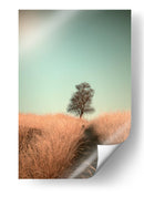 Sendero del campo de los árboles deshojados - Jaap van den | Cuadro decorativo de Canvas Lab