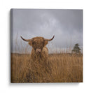Vaca de las Tierras Altas peluda - Gert van den | Cuadro decorativo de Canvas Lab