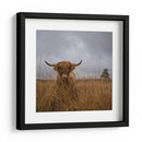 Vaca de las Tierras Altas peluda - Gert van den | Cuadro decorativo de Canvas Lab