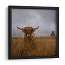 Vaca de las Tierras Altas peluda - Gert van den | Cuadro decorativo de Canvas Lab