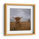 Vaca de las Tierras Altas peluda - Gert van den | Cuadro decorativo de Canvas Lab