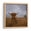 Vaca de las Tierras Altas peluda - Gert van den | Cuadro decorativo de Canvas Lab
