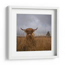 Vaca de las Tierras Altas peluda - Gert van den | Cuadro decorativo de Canvas Lab