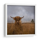 Vaca de las Tierras Altas peluda - Gert van den | Cuadro decorativo de Canvas Lab
