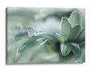Rocío delicado de mariposa - Arief Setiawan | Cuadro decorativo de Canvas Lab