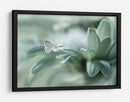 Rocío delicado de mariposa - Arief Setiawan | Cuadro decorativo de Canvas Lab