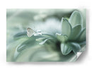 Rocío delicado de mariposa - Arief Setiawan | Cuadro decorativo de Canvas Lab