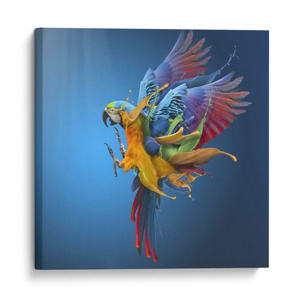 Salpicadura de loro vibrante - Sulaiman Almawash | Cuadro decorativo de Canvas Lab