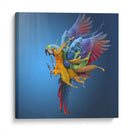 Salpicadura de loro vibrante - Sulaiman Almawash | Cuadro decorativo de Canvas Lab