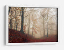 Sendero brumoso del bosque otoñal - Leif Londal | Cuadro decorativo de Canvas Lab