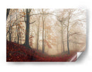 Sendero brumoso del bosque otoñal - Leif Londal | Cuadro decorativo de Canvas Lab