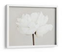Flor de peonía blanca - Fluidys Studio III | Cuadro decorativo de Canvas Lab