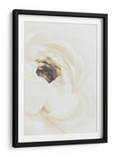 Flor de ranúnculo blanco suave - Fluidys Studio III | Cuadro decorativo de Canvas Lab