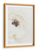 Flor de ranúnculo blanco suave - Fluidys Studio III | Cuadro decorativo de Canvas Lab