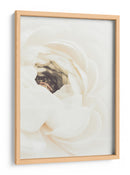 Flor de ranúnculo blanco suave - Fluidys Studio III | Cuadro decorativo de Canvas Lab