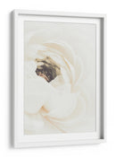 Flor de ranúnculo blanco suave - Fluidys Studio III | Cuadro decorativo de Canvas Lab