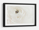 Flor blanca suave - Fluidys Studio III | Cuadro decorativo de Canvas Lab