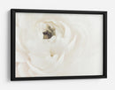 Flor blanca suave - Fluidys Studio III | Cuadro decorativo de Canvas Lab