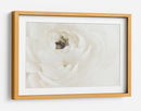 Flor blanca suave - Fluidys Studio III | Cuadro decorativo de Canvas Lab