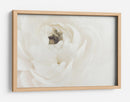 Flor blanca suave - Fluidys Studio III | Cuadro decorativo de Canvas Lab