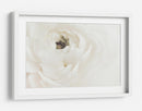 Flor blanca suave - Fluidys Studio III | Cuadro decorativo de Canvas Lab