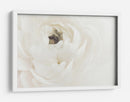 Flor blanca suave - Fluidys Studio III | Cuadro decorativo de Canvas Lab