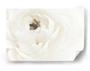 Flor blanca suave - Fluidys Studio III | Cuadro decorativo de Canvas Lab