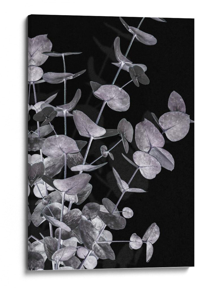 Follaje de eucalipto oscuro - Fluidys Studio III | Cuadro decorativo de Canvas Lab
