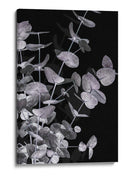 Follaje de eucalipto oscuro - Fluidys Studio III | Cuadro decorativo de Canvas Lab