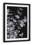 Follaje de eucalipto oscuro - Fluidys Studio III | Cuadro decorativo de Canvas Lab