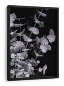Follaje de eucalipto oscuro - Fluidys Studio III | Cuadro decorativo de Canvas Lab