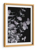 Follaje de eucalipto oscuro - Fluidys Studio III | Cuadro decorativo de Canvas Lab