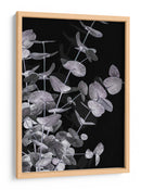 Follaje de eucalipto oscuro - Fluidys Studio III | Cuadro decorativo de Canvas Lab