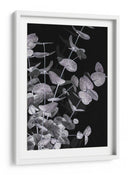 Follaje de eucalipto oscuro - Fluidys Studio III | Cuadro decorativo de Canvas Lab